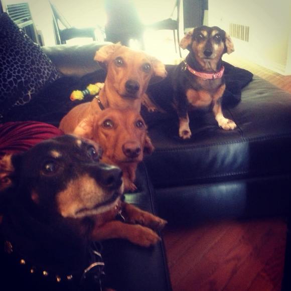 Meet your Posher, Tracey - Picture 1 of 1